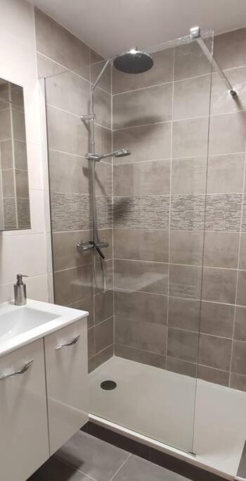 Апартаменты Logement 5 Personnes Proche Cv Et Parking Prive Сент-Этьен Экстерьер фото